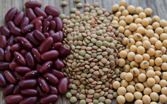 Những thực phẩm giúp cơ thể 'miễn nhiễm' với ung thư