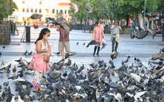 Thời tiết TP.HCM se lạnh, Đà Lạt còn 9 độ C kéo dài đến khi nào?