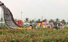 Cánh đồng hoa tết mới toanh vừa mở cửa ‘gây sốt’