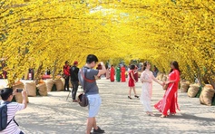 Đường mai - điểm đến lý tưởng của giới trẻ năm nay có gì mới ?