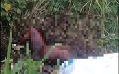 TP.HCM: Điều tra vụ tử thi lõa thể, khô hóa cạnh trạm thu phí