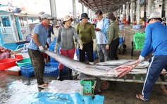 Khánh Hòa tăng cường minh bạch truy xuất nguồn gốc thủy sản