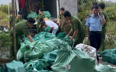 Phát hiện hơn 4 tấn mỹ phẩm không giấy tờ ở Cà Mau