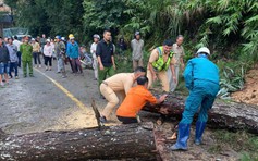 CSGT Lâm Đồng: Kéo giảm người chết do TNGT là 'chỉ tiêu hạnh phúc'