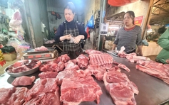 Giá lợn hơi sắp lên 80.000 đồng/kg, người chăn nuôi lãi đậm