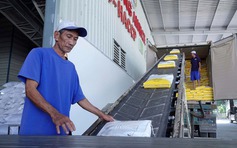 Việt Nam chủ động giảm lượng gạo xuất khẩu từ 2026