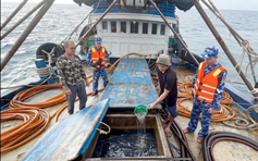 Phú Quốc: Bắt giữ tàu vận chuyển trái phép 100.000 lít dầu D.O