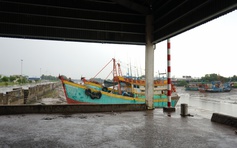 Đồng Tháp: Tàu cá giải bản có thể nhận hỗ trợ tối đa 350 triệu đồng