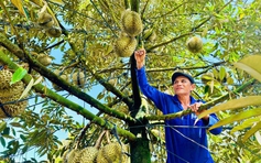 Xuất khẩu chinh phục mục tiêu 500 tỉ USD