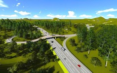 Gia Lai: ‘Trục xương sống’ mới của kinh tế miền Trung và Tây nguyên