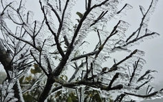 Băng giá trên đỉnh Mẫu Sơn hút khách du lịch check-in