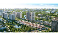 Essensia Broadway trong chu kỳ đầu tư hậu sàng lọc