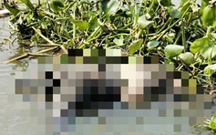 Sau cuộc gọi với bố, nam thanh niên ở TP.HCM được phát hiện tử vong dưới sông