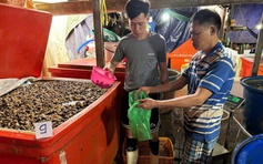 TP.HCM: Bắt vụ ngâm 3.000 tấn ốc bươu bằng 500 tấn hóa chất dùng trong xây dựng