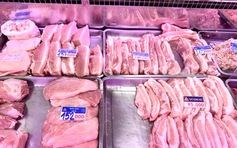 Giá heo hơi hôm nay 28.1.2026: Nhiều nơi đạt 81.000 đồng/kg