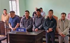 Nhận hối lộ, 3 nhân viên bảo vệ rừng bị phạt tù