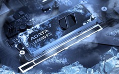 Sai lầm nghiêm trọng với ổ SSD NVMe khiến PC 'đứng hình'