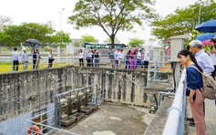 Khu công nghiệp sinh thái trên đất ngập mặn ở TP.HCM đặc biệt ra sao?