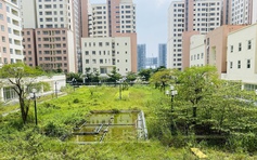 Vì sao dự án khu nhà tái định cư hơn 20 năm vẫn chưa hoàn thành?