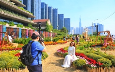 Vườn hoa tết 'mới toanh' gây sốt ngay trung tâm TP.HCM: Đông người đổ về check-in