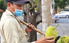 Theo chân người đàn ông rong ruổi hái sa kê mưu sinh ở TP.HCM