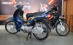 Xe máy đời mới có cần 'làm nóng' động cơ mỗi buổi sáng trước khi vận hành?