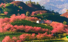 Việt Nam có 1 điểm đến 'tăng trưởng nhanh nhất châu Á'