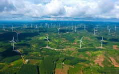 Trung Nam Group đầu tư 8 tỉ cho điện tái tạo, điện khí đến 2030