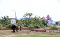 Hết thời bất động sản 'treo đầu dê, bán thịt chó'