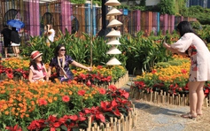 Lịch nghỉ Tết Nguyên đán Bính Ngọ 9 ngày liên tục: Dân mạng háo hức đếm ngược