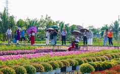 Du khách thích thú kỹ thuật trồng hoa 'không chạm đất' ở làng hoa Sa Đéc