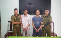 Công an An Giang bắt nhiều vụ trộm chó có súng điện, bình xịt hơi cay