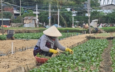 Sống chung với thiên tai: Khôi phục sinh kế, chủ động trước mùa lũ