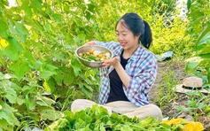Cô gái Việt cải tạo mảnh đất hoang ở Nhật thành vườn rau xanh mướt