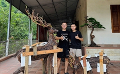 Sáng tạo độc đáo từ gỗ lũa