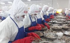 Khánh Hòa mở rộng mạng lưới an sinh xã hội