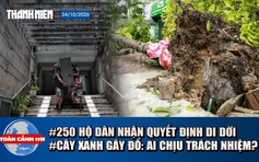 Toàn cảnh 17h: 250 hộ cư xá Thanh Đa nhận quyết định cưỡng chế | Cây đổ đè tài sản: Ai phải bồi thường?