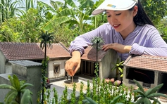 Vợ chồng trẻ thu nhỏ những ngôi nhà cổ gây chú ý