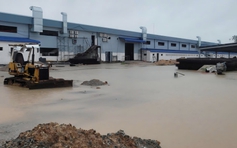 Công nhân Đà Nẵng thấp thỏm chờ việc vì doanh nghiệp FDI 'mắc kẹt'