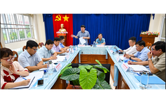 Gần 1.600 giáo viên Cà Mau trổ tài ca hát, diễn đờn ca tài tử