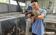 Từ lái xe thuê đến cơ ngơi nuôi chồn hương thu nhập hàng trăm triệu đồng