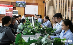 Những trường hợp nào ở Đà Nẵng được nhận 2 triệu đồng/tháng từ chính sách mới?