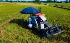 Hà Nội lập kế hoạch phát triển kinh tế tập thể, hợp tác xã năm 2027