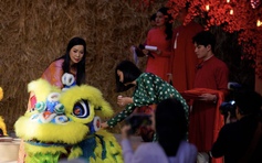 TP.HCM khai mạc Lễ hội Tết Việt Bính Ngọ