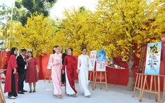 Đường mai và dàn linh vật ngựa năm nay đẹp cỡ nào?