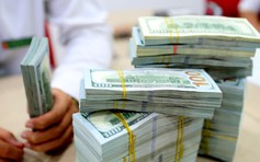 Giá USD hôm nay 1.2.2026: Đi lùi ngược euro, bảng Anh