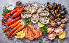 Ăn hải sản có vỏ thường xuyên: Bổ sung omega-3, tốt cho miễn dịch, não bộ