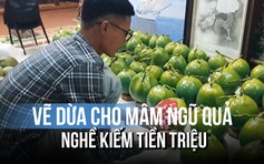 Vẽ dừa cho mâm ngũ quả: Nghề kiếm tiền triệu những ngày giáp tết