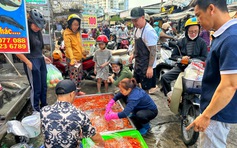 Mua cá chép cúng ông Táo 23 tháng chạp: Bất ngờ chợ Phạm Văn Hai ở TP.HCM