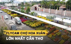 Chợ hoa xuân lớn nhất Cần Thơ có gì đặc biệt khi người bán không tốn tiền thuê sạp?